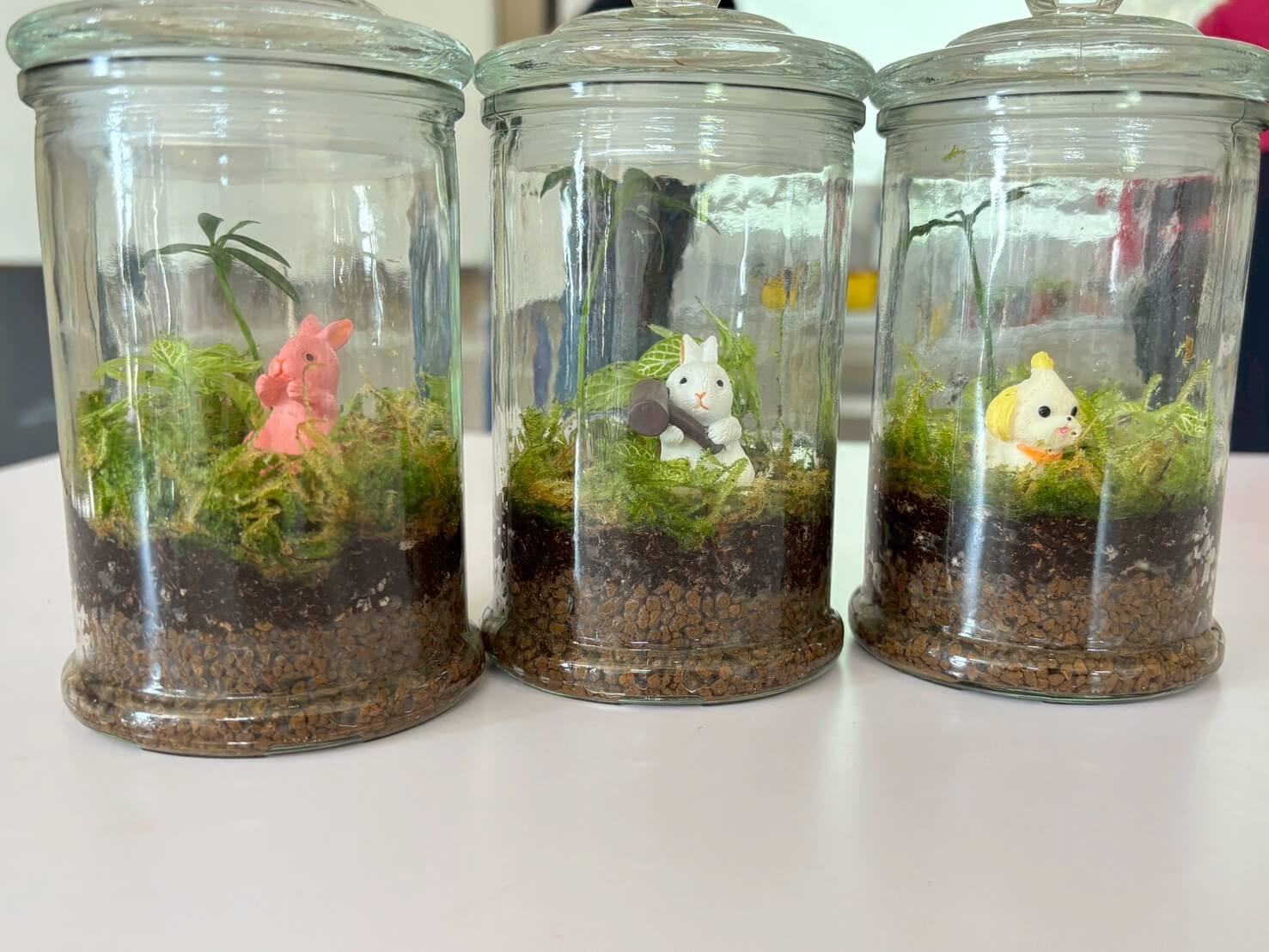花草遊藝趣