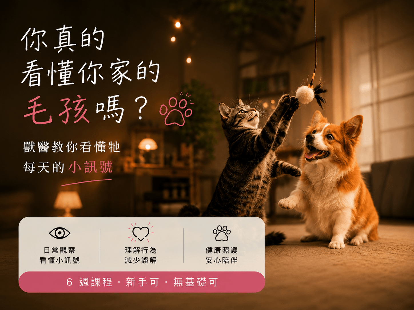 你真的看懂你家的毛孩嗎？